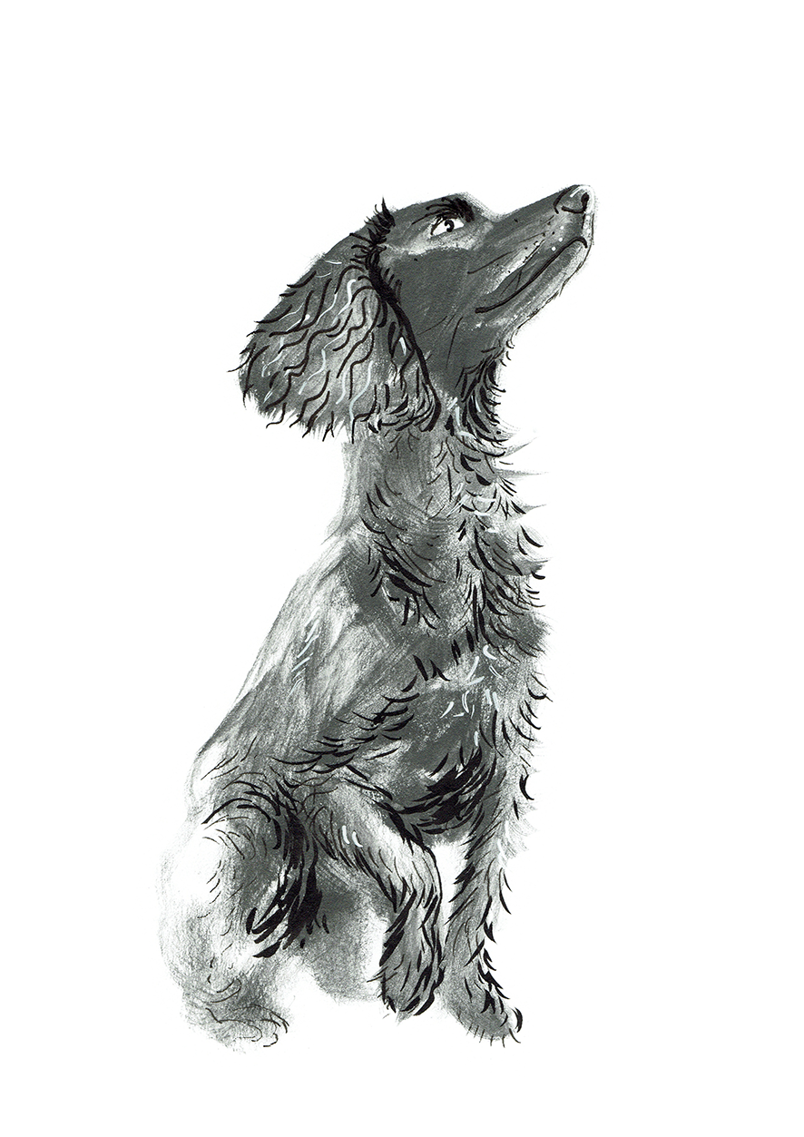 Monochrome Dog Portrait