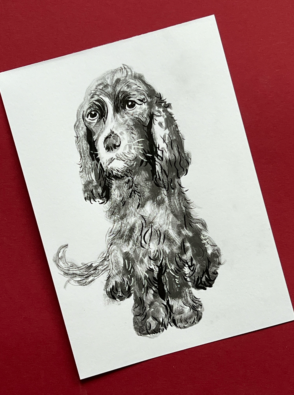 Monochrome Dog Portrait