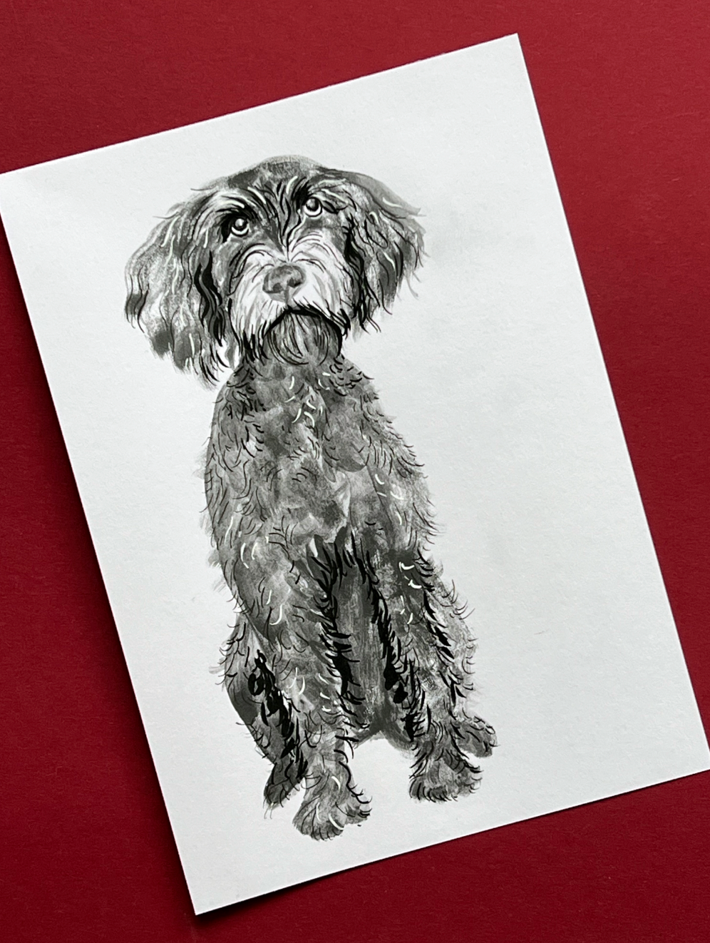 Monochrome Dog Portrait